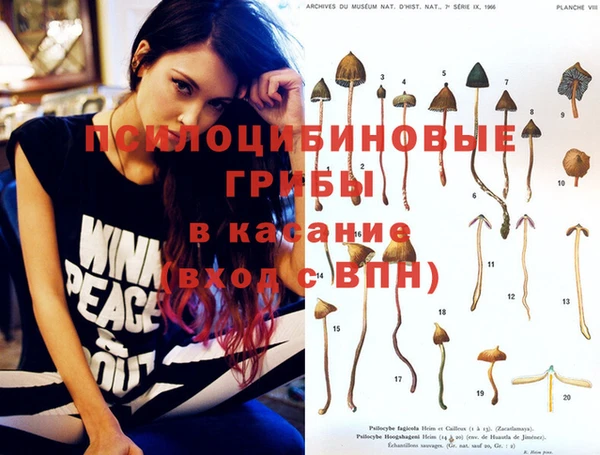 тгк Алексеевка