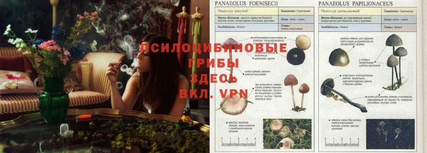 мяу мяу кристалл Алзамай
